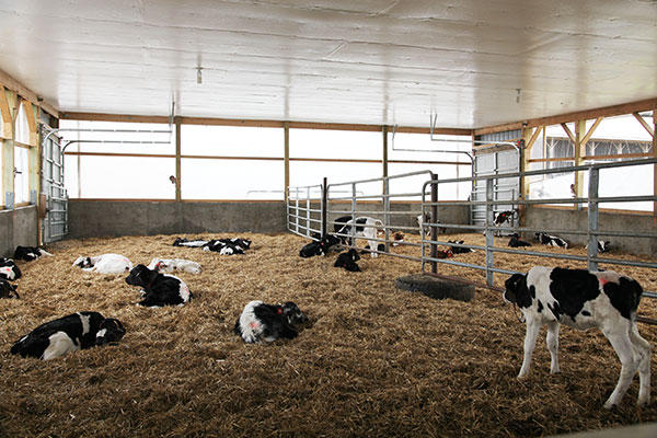 NODPA Field DaysCalfbarn